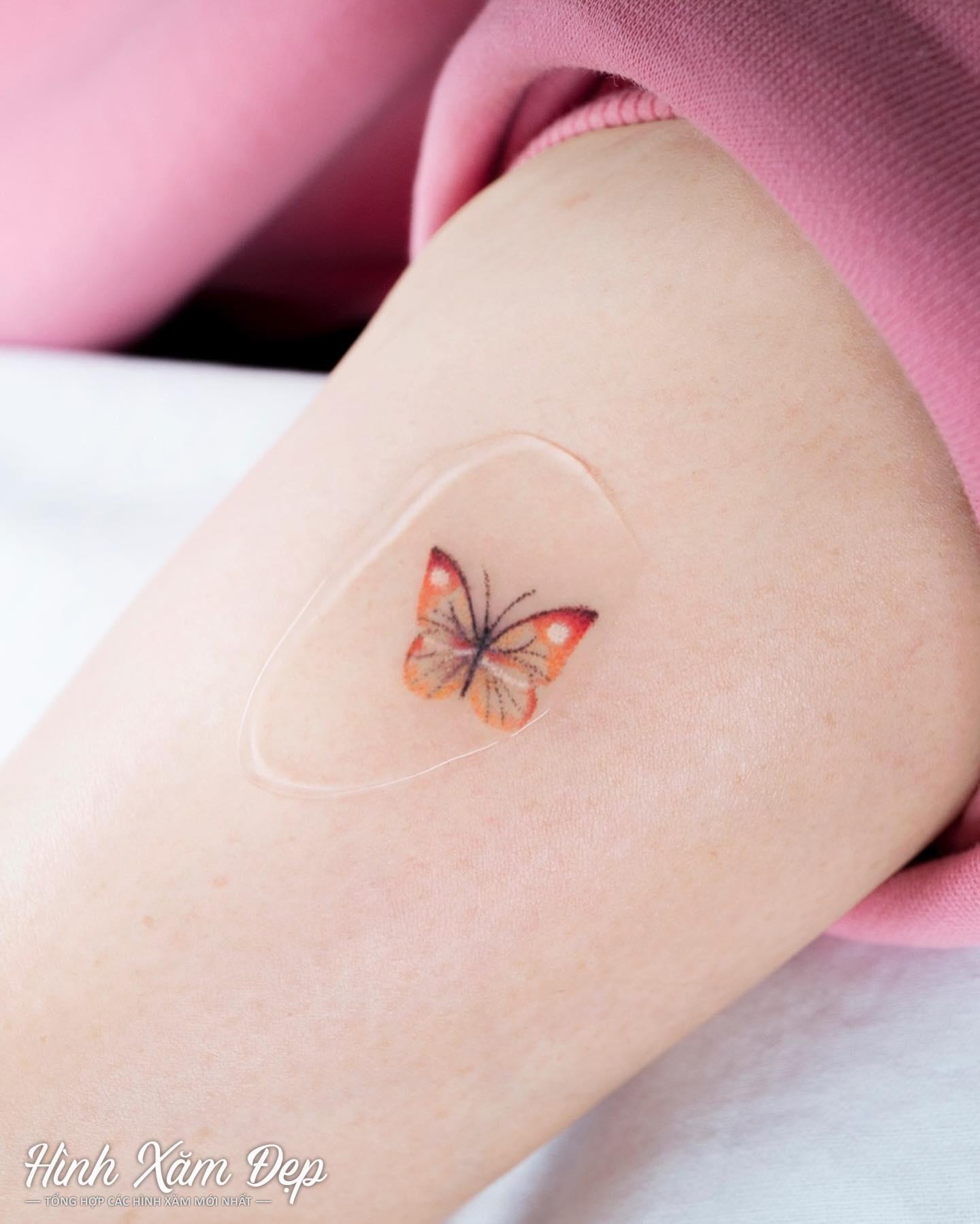 Hình xăm bướm mini bắp tay