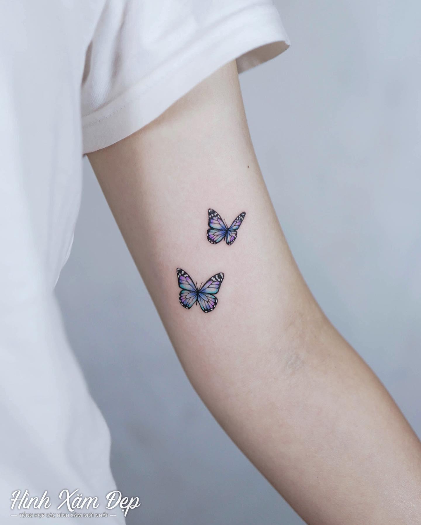 Hình xăm bướm mini bắp tay