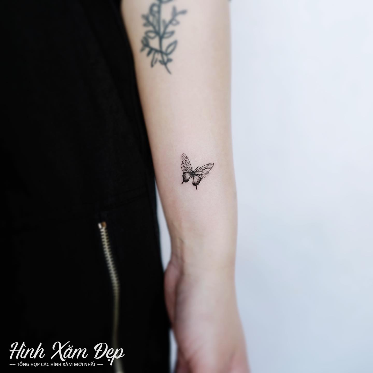 Hình xăm bướm mini cánh tay