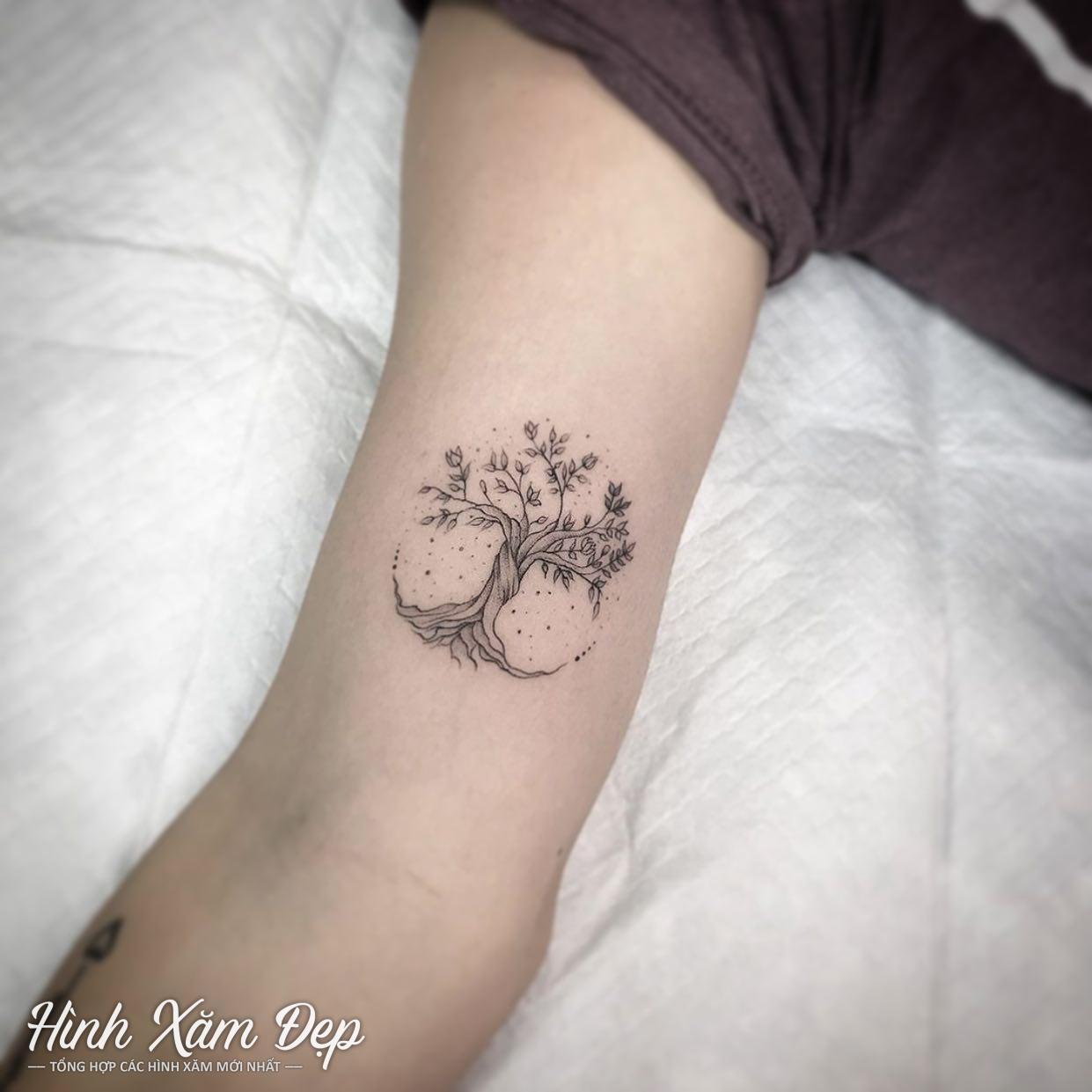 Hình xăm cây cối bắp tay