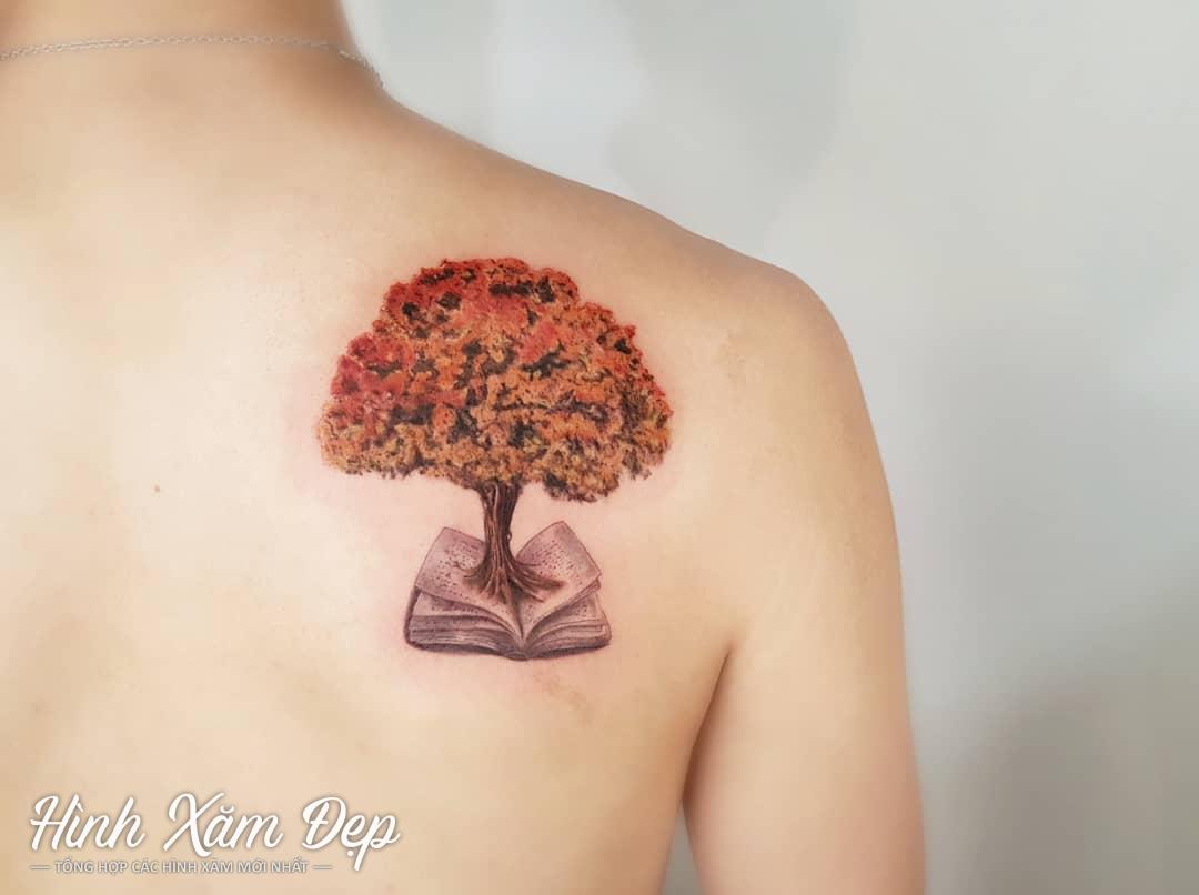 Hình xăm cây phượng kết hợp sách vai sau