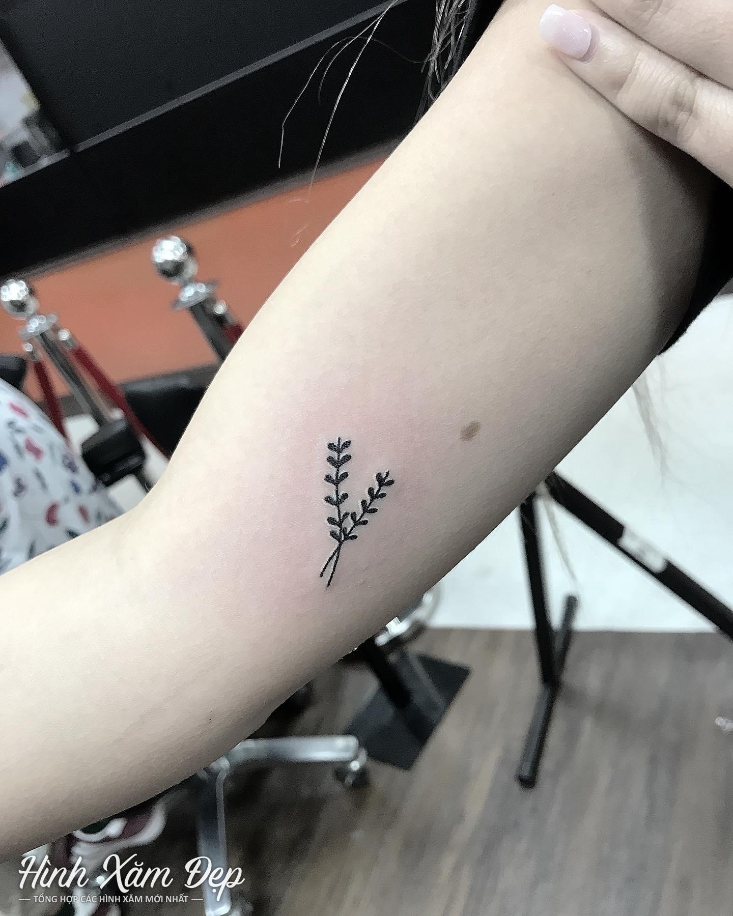 Hình xăm chiếc lá bắp tay cho nữ