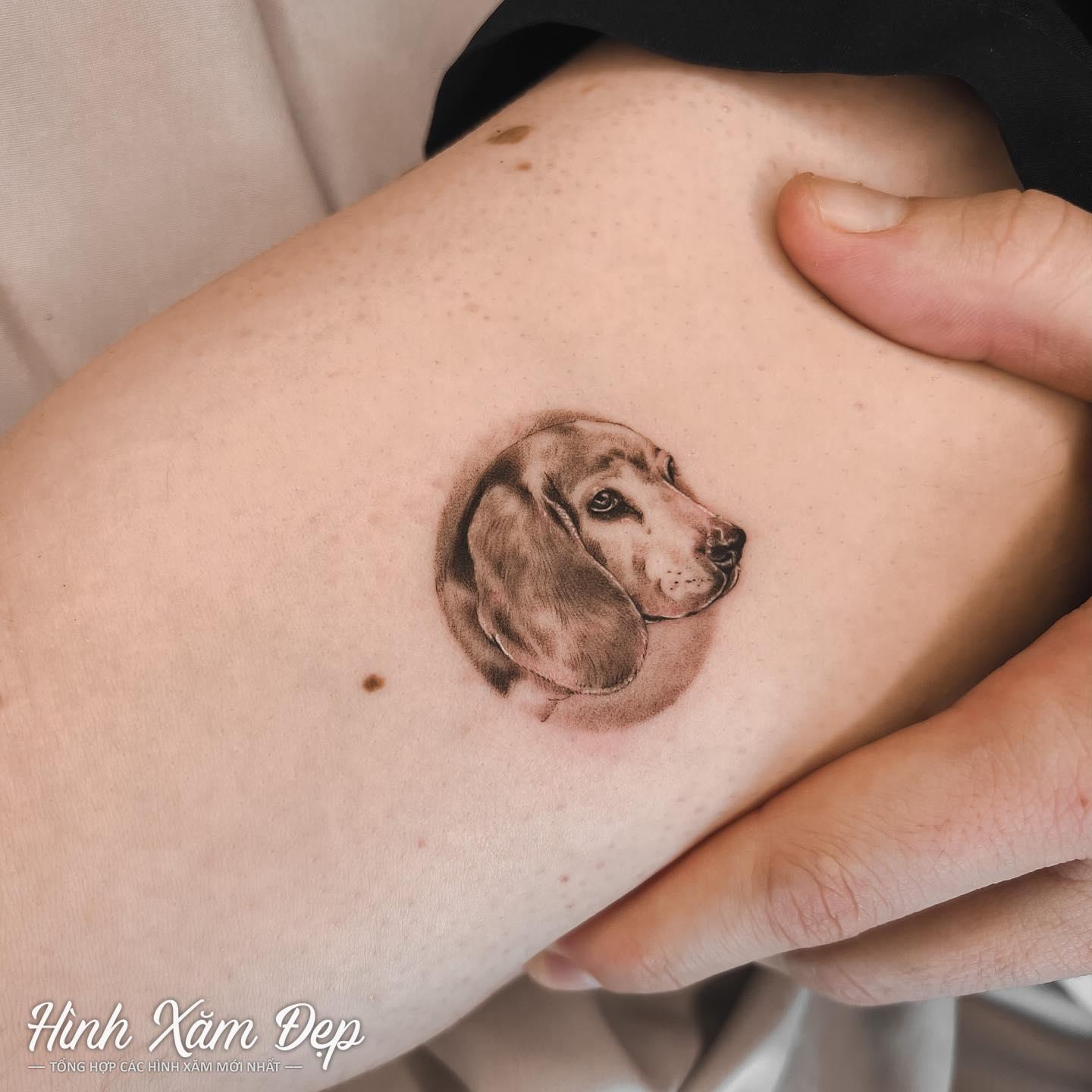 Hình xăm chó mini bắp tay