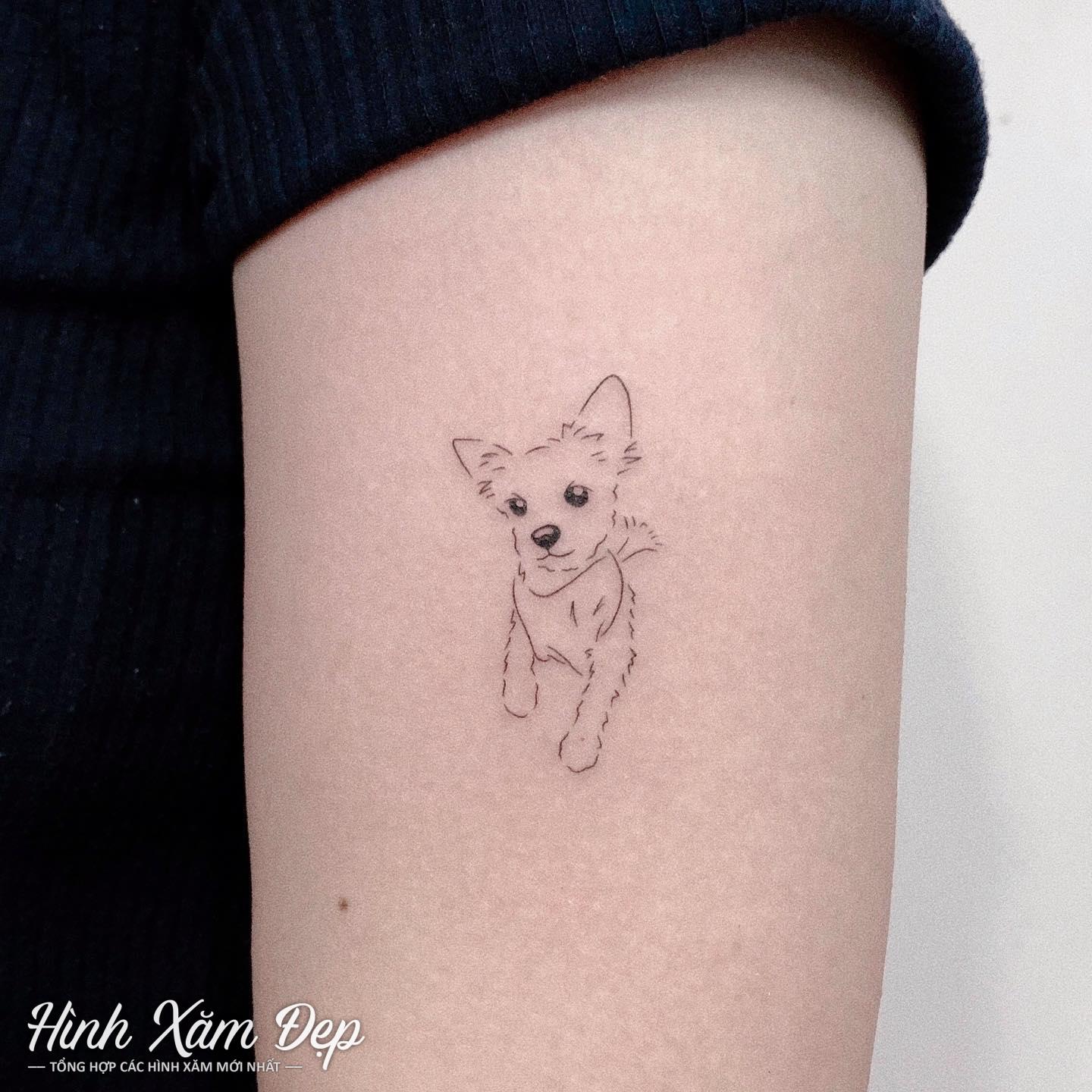 Hình xăm cún mini bắp tay