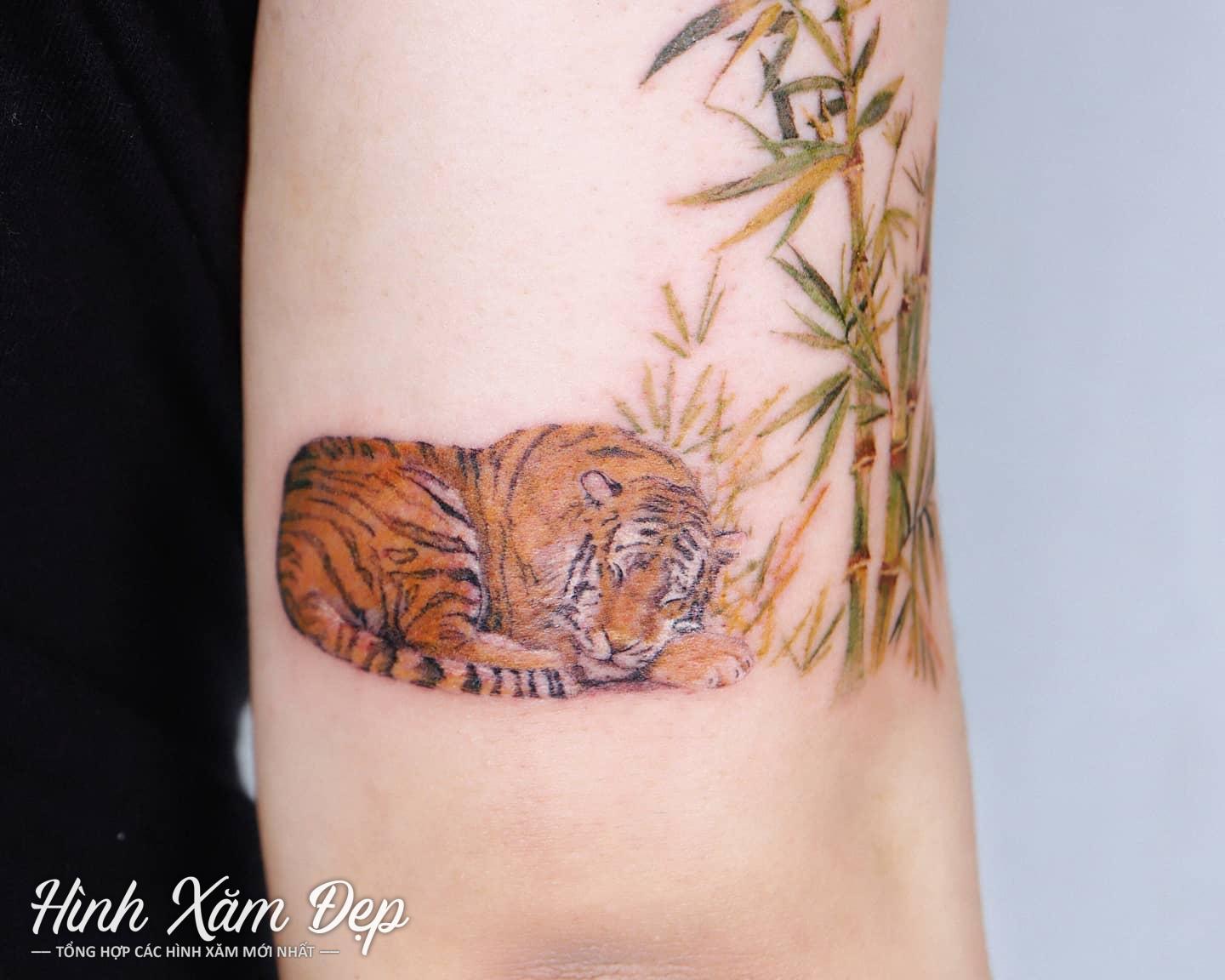 Hình xăm hổ mini bắp tay sau