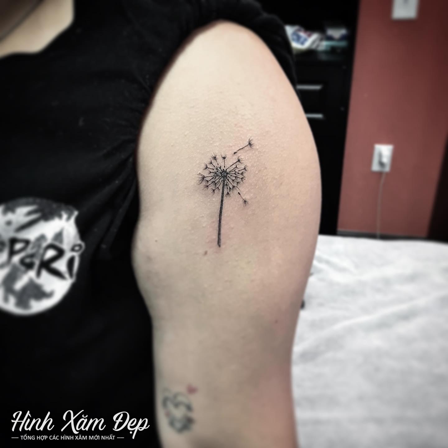 Hình xăm hoa bồ công anh bắp vai