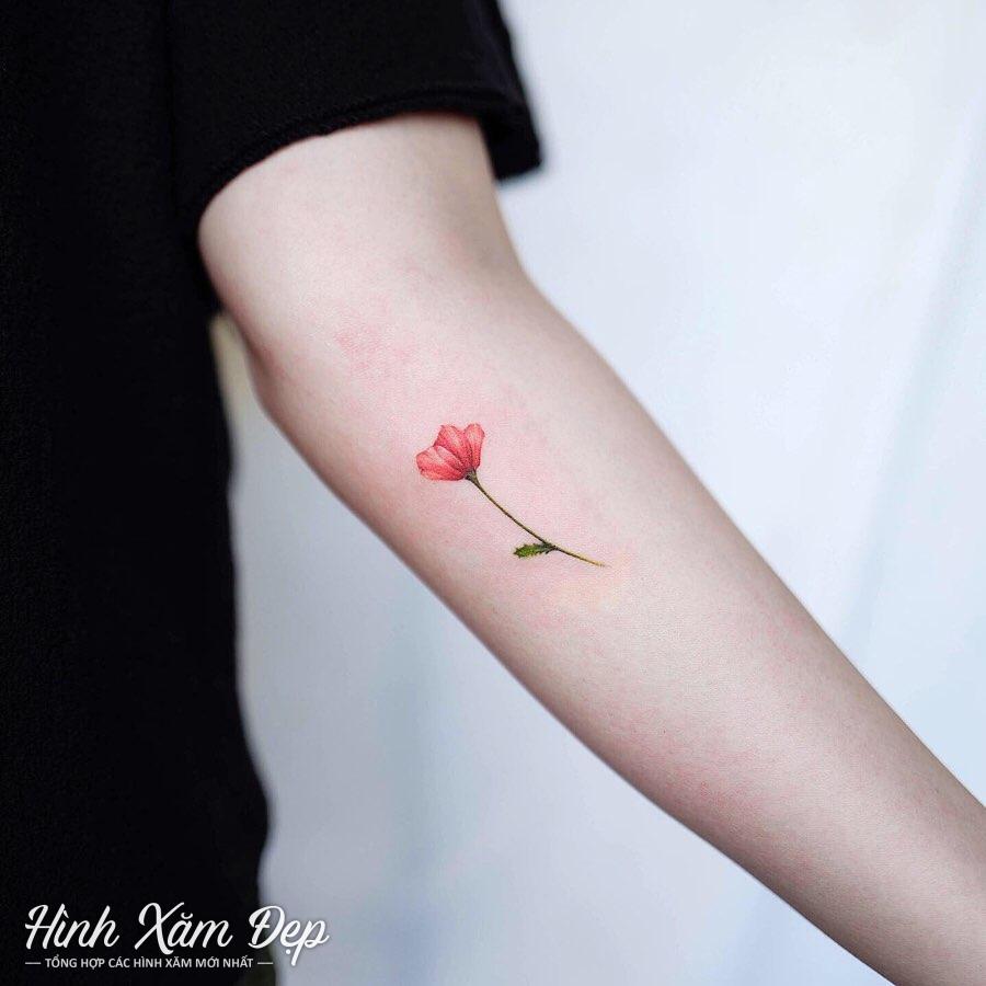 Hình xăm hoa hồng cánh tay