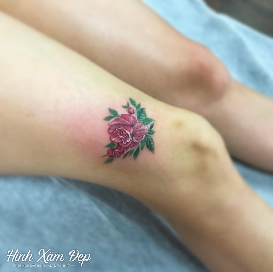 Hình xăm hoa hồng đầu gối