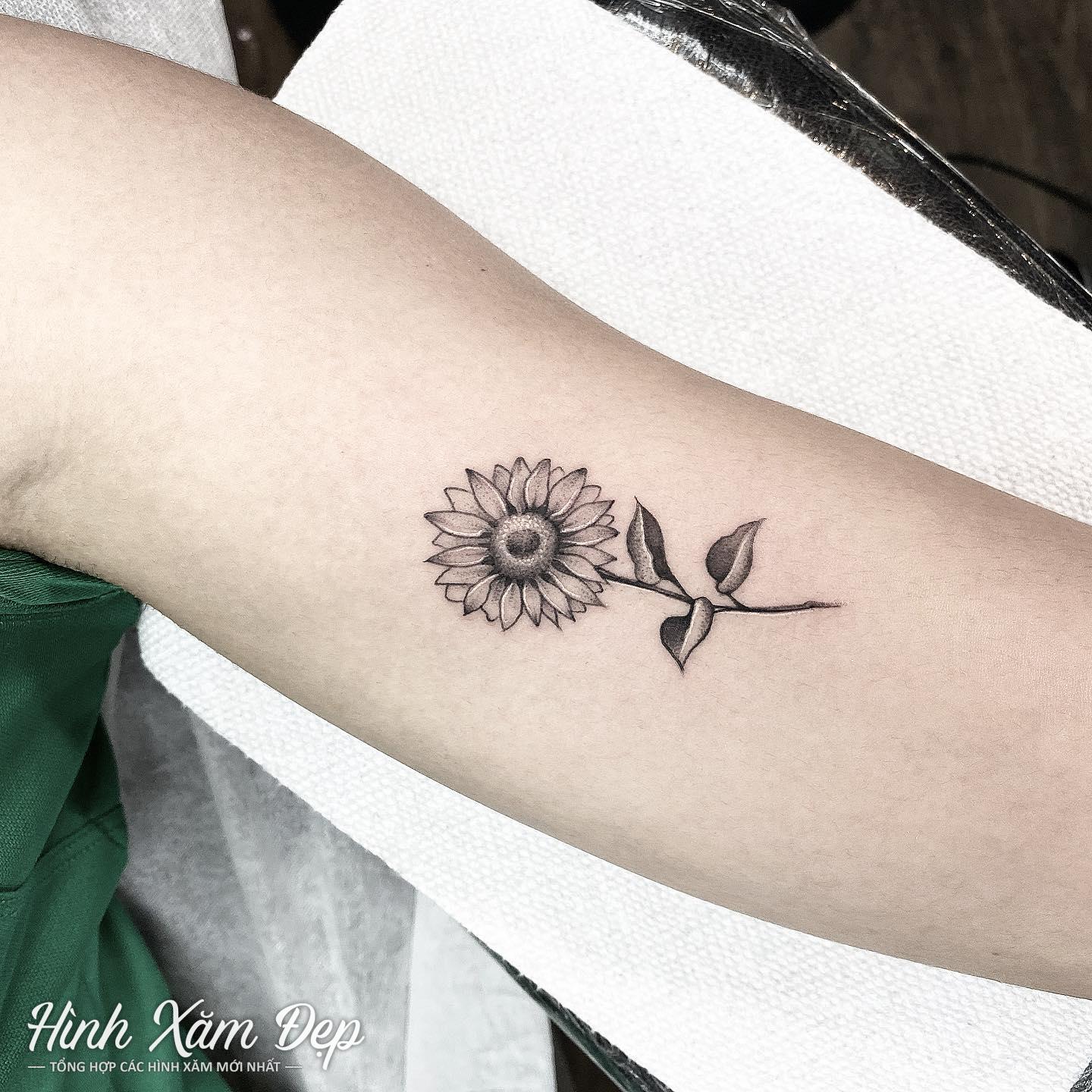 Hình xăm hoa hướng dương bắp tay