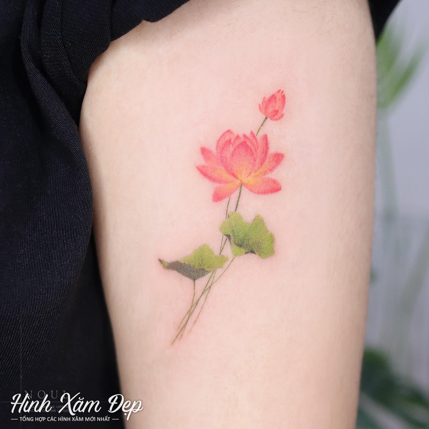 Hình xăm hoa sen mini bắp tay