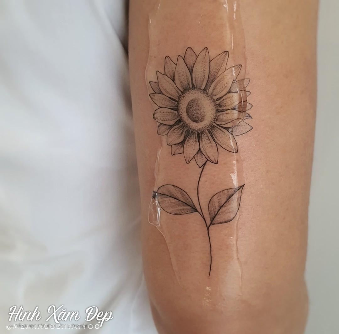 Hình xăm hướng dương bắp tay