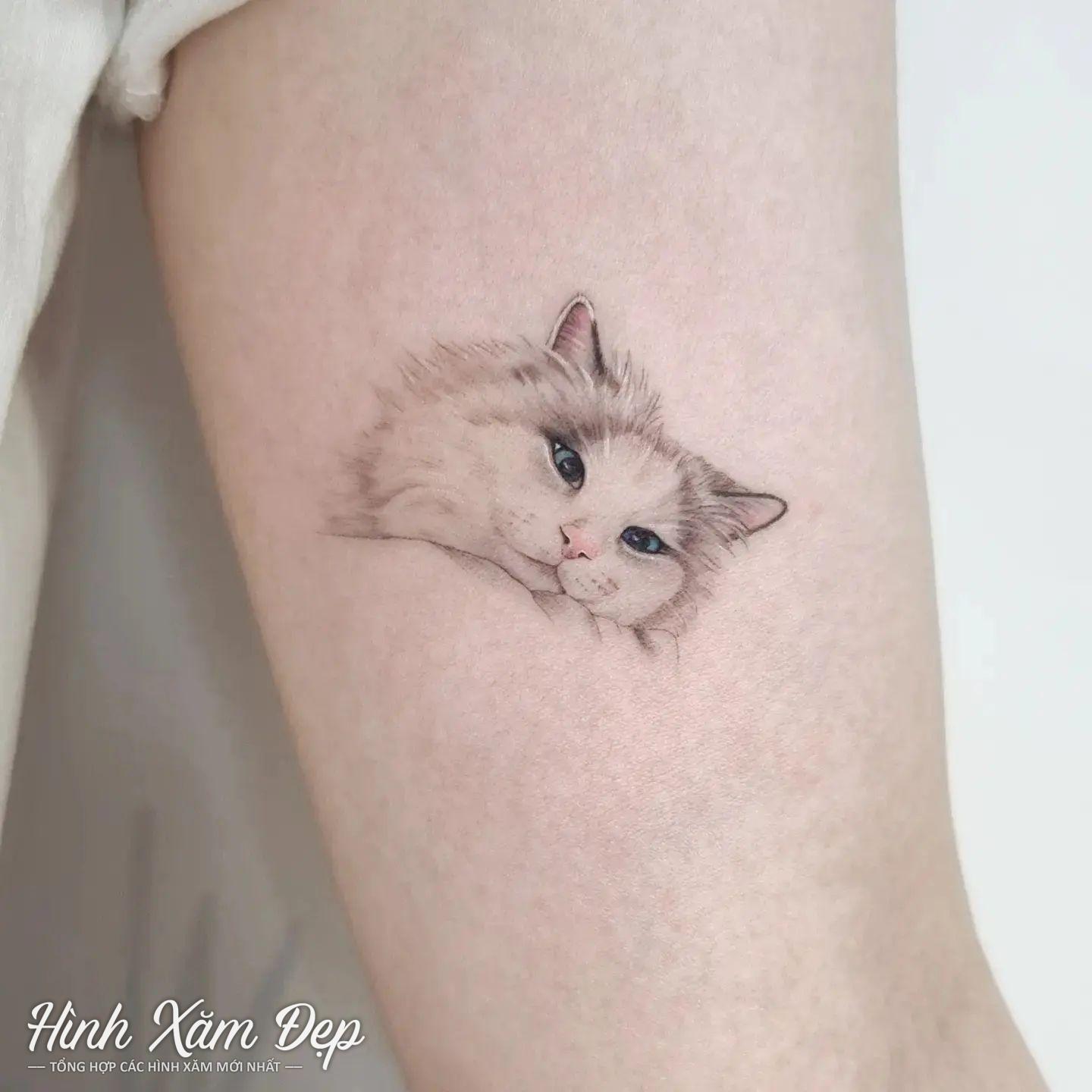 Hình xăm mèo mini bắp tay trong