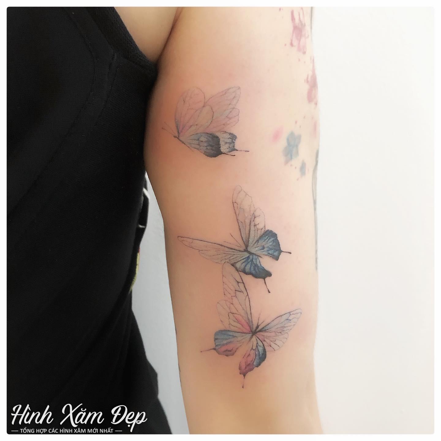 Hình xăm nhiều bướm bắp tay nữ đẹp