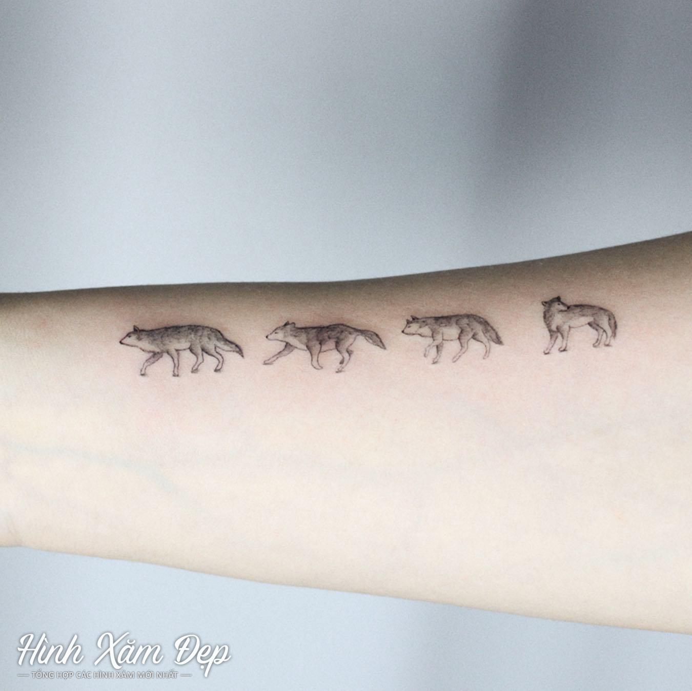 Hình xăm những chú sói cánh tay